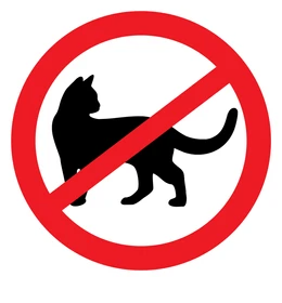 Cats Are Awful